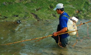 Đi đánh bắt cá, người đàn ông bị điện giật tử vong 