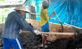 Nông dân Bình Thuận chế tạo phân hữu cơ từ bùn đen và rác