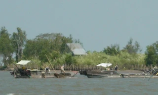 Khai thác trộm cát trên sông Hậu