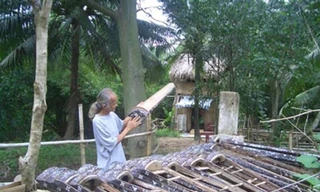 Quái kiệt cổ cầm, cổ nhạc