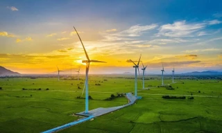 Chưa vội xây dựng 2 'thủ phủ' điện sạch