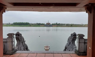 Những đóa hoa dưới dòng Thạch Hãn