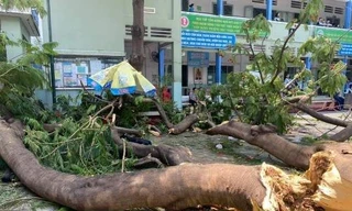 Liên tiếp những vụ tai nạn thương tâm: Cảnh báo an toàn trường học!