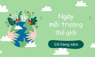 Bạn biết gì về Ngày Môi trường Thế giới?