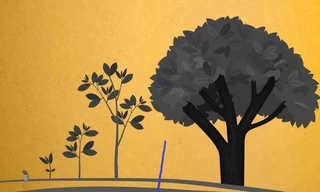 Tư duy dài hạn bắt đầu từ tư duy ngắn hạn