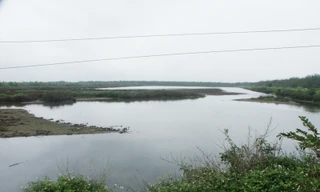 Đầm nước của gia đình ông Vươn đã bị ai đó tháo nước để vơ vét thủy sản