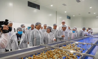 Chạy thử dây chuyền để sản xuất nước nhãn cô đặc