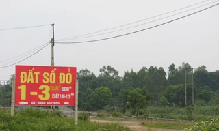 Đất Ba Vì: Mua một, tặng một