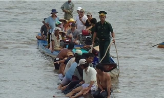 Tiếp tục theo dõi cá nhám voi vừa giải cứu