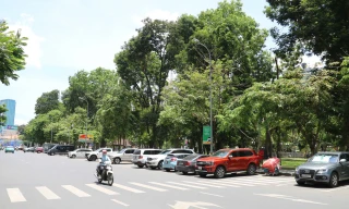 TPHCM: Sẽ hạn chế đăng kiểm với ô tô không nộp phí đỗ dưới lòng đường?