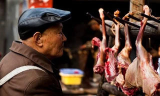 Treo bán thịt chó ở Trung Quốc. Ảnh minh họa