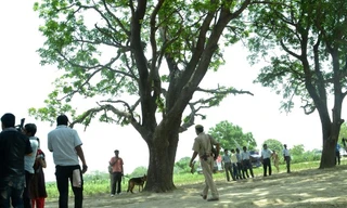 Hiện trường nơi xác 2 thiếu nữ được tìm thấy.