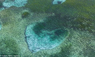 Hình trái tim khổng lồ ở lòng hồ xanh biếc