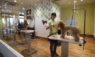 Một trung tâm chăm sóc chó của Aeonpet