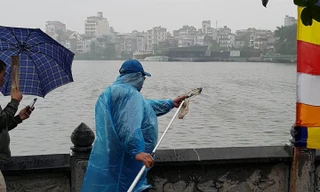 Rùa, cá vừa phóng sinh bị vợt ngay trước mắt tại chùa Trấn Quốc