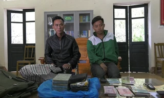 2 đội tượng cùng tang vật tại cơ quan điều tra. 