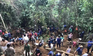 Hàng trăm người đào nát rừng với hi vọng tìm vận may đào đá quý giá bạc tỉ.