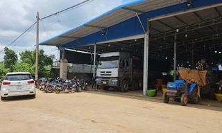 Kho bãi ‘mọc’ tràn lan ở thủ phủ sầu riêng: Có dấu hiệu bao che vi phạm