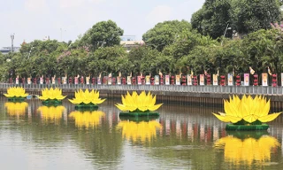 Bảy tòa sen vàng mừng Phật đản