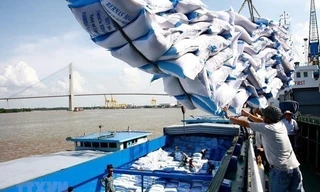 Theo các chuyên gia, việc Ấn Độ dừng xuất khẩu gạo là thời cơ để gạo Việt tăng tốc, chiếm lĩnh thị trường