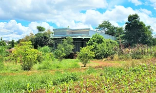 Vụ đất cao su bị ‘xẻ thịt’, nhà kiên cố mọc lên: Kiến nghị xem xét ngừng dự án