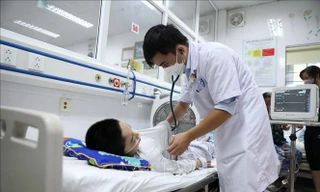 Dịch sốt xuất huyết tăng, Bộ Y tế hỗ trợ Hà Nội 