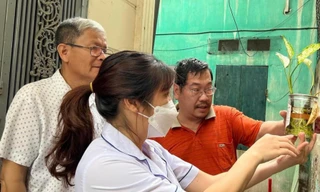 El Nino có thể làm gia tăng lây truyền dịch bệnh 