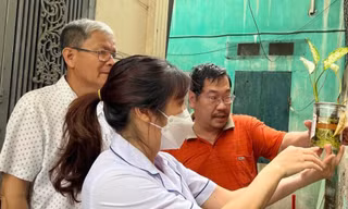 El Nino có thể làm gia tăng lây truyền dịch bệnh 