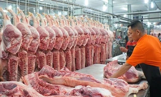 Theo nghiên cứu của Ipsos Strategy 3, người Việt đang có xu hướng chuyển từ ăn thịt lợn sang thịt gà, bò... Ảnh: Dương Hưng