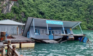 Lặng người nhìn khu bảo tồn lớp học chìm trên vịnh Hạ Long