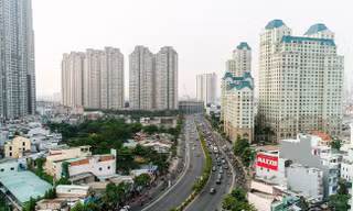Dự án đất nền tại khu nhà ở Đại Nam, Bình Dương trở thành nơi thả bò. Ảnh: Hương Chi