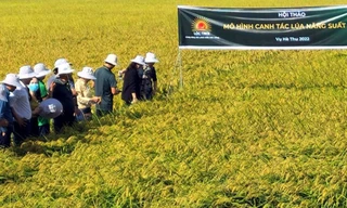 ‘Đại gia’ nông nghiệp tham vọng doanh thu tỷ USD 