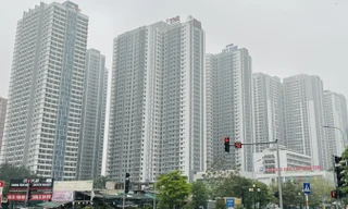 Chồng chéo, 'vẽ' thêm giấy phép con