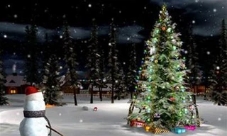 Cây thông Noel lâu năm nhất thế giới