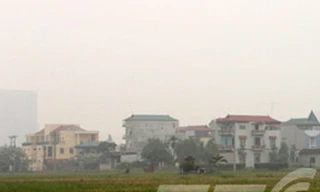 Giải mã làng thịt chó không ai dám… giết chó!