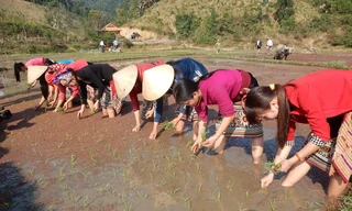 Bà con xuống đồng chuẩn bị một vụ mùa mới mưa thuận gió hòa, bội thu.