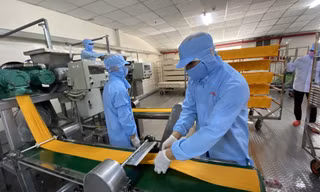 Chính phủ đang nỗ lực tháo gỡ khó khăn hỗ trợ sản xuất, kinh doanhẢnh: Văn Minh