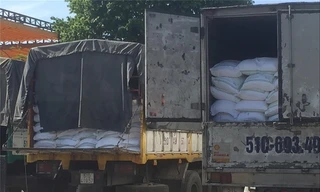 Nhiều xe tải chở đường lậu bị công an bắt giữ