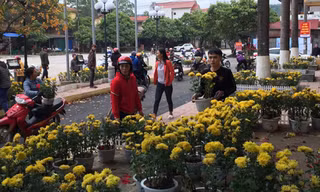 Dân hôi hoa ở Đồng Đăng ảnh: Duy Chiến 