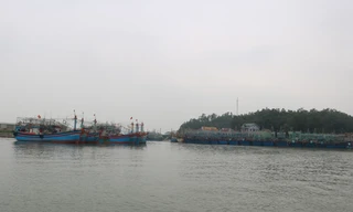 Cảng cá lạch Quèn 