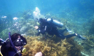 Thúy và Thảo chăm sóc các rạn san hô dưới biển Cù Lao Chàm