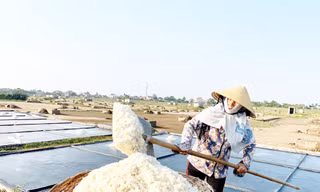 Diêm dân trên đồng muối
