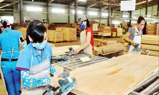  Ngành gỗ Việt Nam nguy cơ bị gỗ Trung Quốc “rửa” xuất xứảnh minh họa 