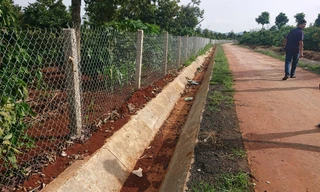 Đường bê tông vào nơi không quy hoạch