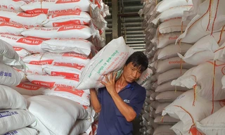 Theo các chuyên gia, xuất khẩu gạo của Việt Nam không cần tập trung quá vào loại đặc sản, mà cần giữ ổn định chất lượng Ảnh: Cảnh Kỳ 