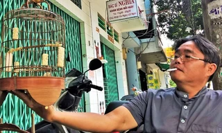 Mốt lồng son cho chim quý ở TPHCM