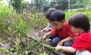 Học sinh tham gia các buổi dã ngoại