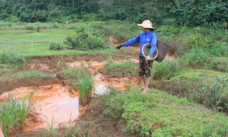 Sau khi nước rút rất nhiều chất màu đỏ bám lại dòng suối 