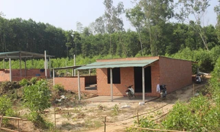 Công trình trái phép đua nhau mọc lên nhằm đón đầu dự án