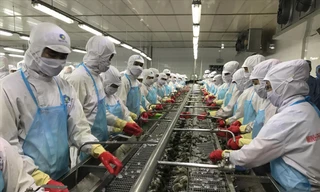 Nguồn gốc, xuất xứ hàng hóa là thách thức lớn với các DN Việt Nam xuất khẩu sang EU ảnh: Bình Phương 